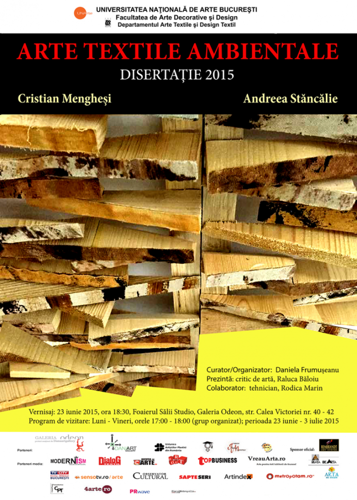 Arte textile ambientale – disertație 2015