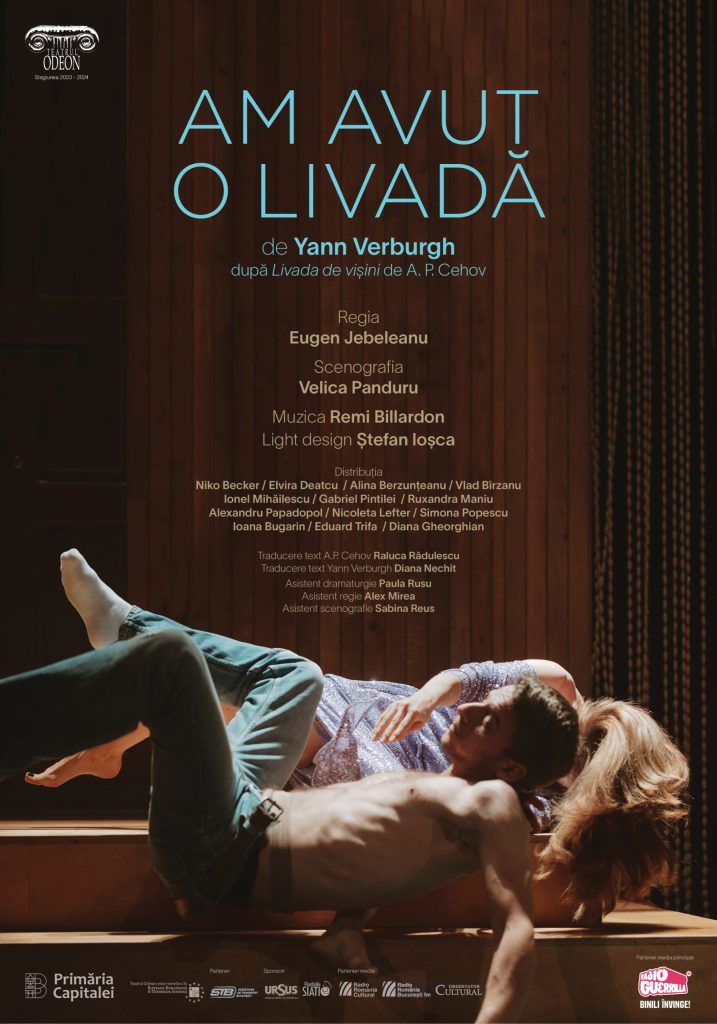 Am avut o Livadă este o împletire dintre o piesă clasică – Livada de vișini (1903), ultima operă a lui A.P. Cehov (1860 – 1903) și un text contemporan, o însoțire ca cercetare estetică, în jurul subiectului teatrului, după cum mărturisește Yann Verburgh.